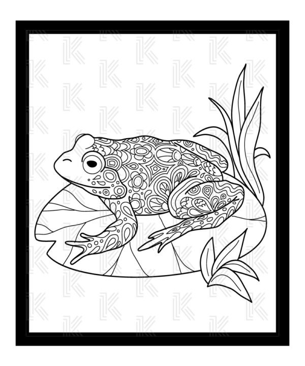 Frog coloring page for adult & teens