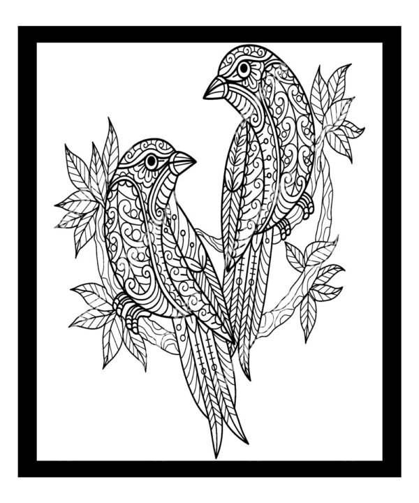 parrot couple sitting on a branch color page for adults