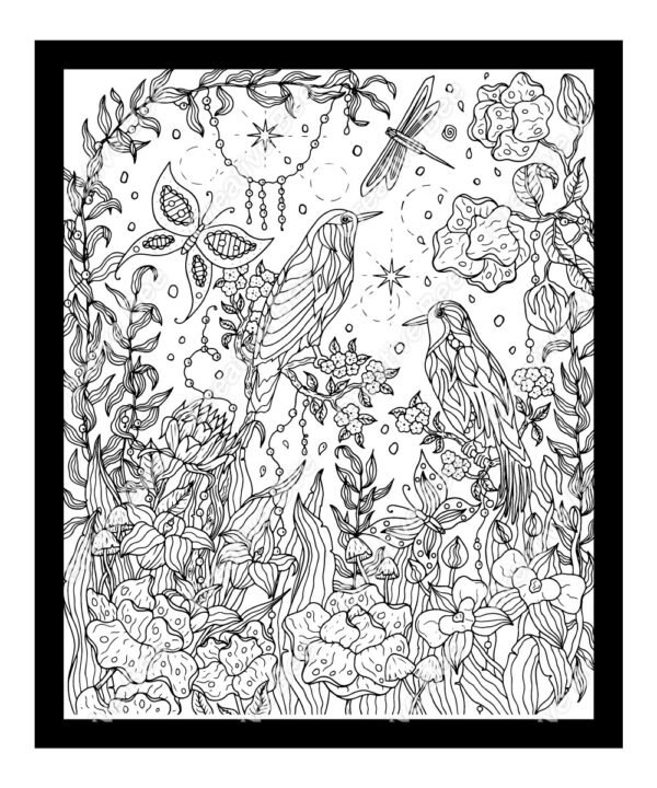 birds, butterflies, dragonfly in a mysticle garden color page for adult colouring