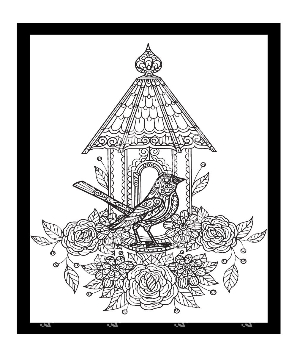 Exotic Wild Birds Adult Coloring Pages Graphic by Sybirko Art Workshop ·  Creative Fabrica
