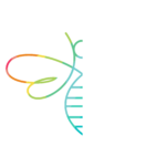 Creative Bee Coloring Logo
