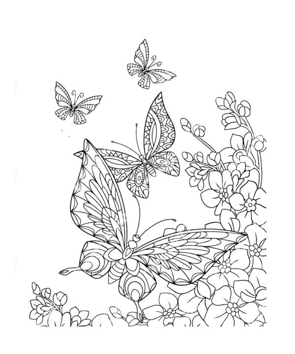 butterflies and flowers colouring book page for adults