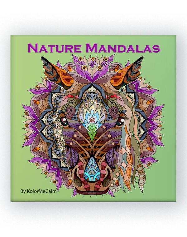 nature mandala colouring book page for adults