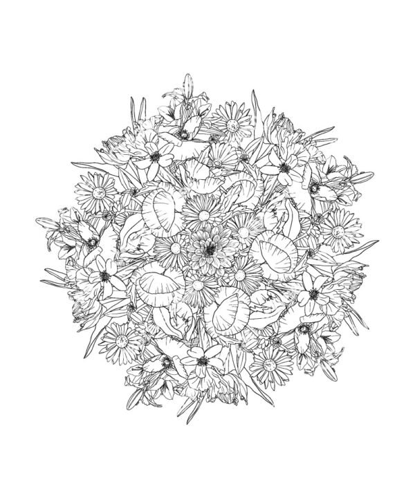 Floral nature mandalas colouring book page for adults
